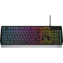 Genesis Rhod 300 RGB (US)