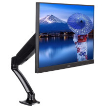 Iiyama DS3001C-B1 Black Iiyama DS3001C-B1 Black