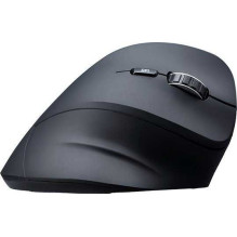 Powerton Shark Powerton Shark