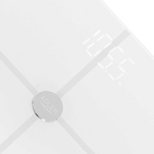 Adler AD 8187 White