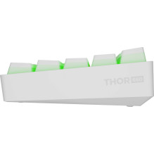 Genesis Thor 660 G2 Gateron Red White (US) Genesis Thor 660 G2 Gateron Red White (US)