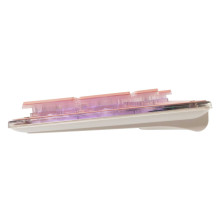 Baltasis ryklys GK-003441 Tachi Pink US Baltasis ryklys GK-003441 Tachi Pink US