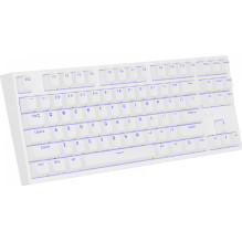 „Genesis Thor 404 TKL Kailh Brown Box“ (JAV)