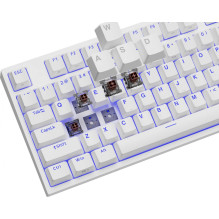 „Genesis Thor 404 TKL Kailh Brown Box“ (JAV)