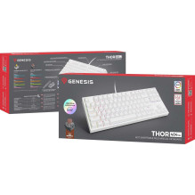 „Genesis Thor 404 TKL Kailh Brown Box“ (JAV)
