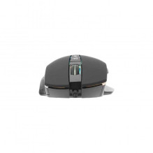 White Shark GM-5009 Gareth Black White Shark GM-5009 Gareth Black
