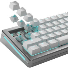 Glorious „Lynx Silent Switches 36pcs