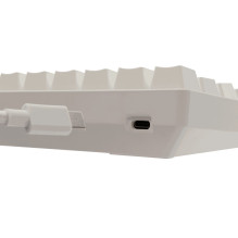 White Shark GK-004231 Shinobi-2 Brown Switch, White US White Shark GK-004231 Shinobi-2 Brown Switch, White US