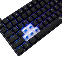 „White Shark GK-005121 Hamachi Mechanical RGB / US - Blue SW“. „White Shark GK-005121 Hamachi Mechanical RGB / US - Blue SW“.