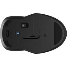 HP 250 Dual Black HP 250 Dual Black