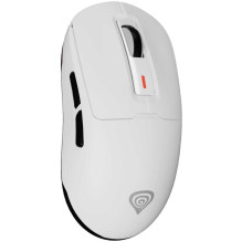 Genesis Zircon 660 White Genesis Zircon 660 White