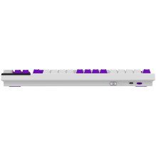 Lorgar KBP70TKLW, Wireless TKL Mechanical Gaming Keyboard Pro White / Purple