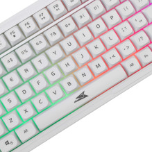 Baracuda BGC-012 Orca White Combo Baracuda BGC-012 Orca White Combo