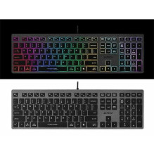 A4Tech 47126 FSTYLER FX60H Grey Neon Backlit A4Tech 47126 FSTYLER FX60H Grey Neon Backlit