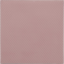 Terminis „Grizzly Minus Pad“ 8 - 100x100 x1.0 mm TG-MP8-100-100-10-2R 2 vnt. Terminis „Grizzly Minus Pad“ 8 - 100x100 x1.0 mm TG-MP8-100-100-10-2R 2 vnt.