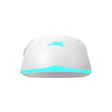 Baracuda BGM-122 Turtle White Baracuda BGM-122 Turtle White