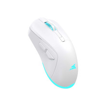 Baracuda BGM-122 Turtle White Baracuda BGM-122 Turtle White