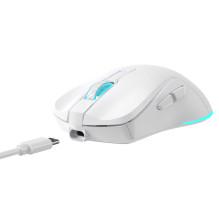 Baracuda BGM-122 Turtle White Baracuda BGM-122 Turtle White
