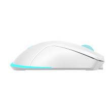 Baracuda BGM-122 Turtle Balta