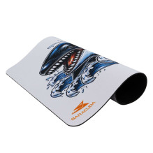 Baracuda BGMP-071 Orca 300x250 Baracuda BGMP-071 Orca 300x250