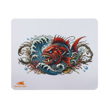 Baracuda BGMP-041 Coral 300x250 Baracuda BGMP-041 Coral 300x250