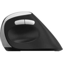 Rapoo EV250 Belaidės ergonomiškos juodos spalvos Rapoo EV250 Belaidės ergonomiškos juodos spalvos