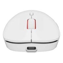 Genesis Zircon XIII Custom Wireless RGB White
