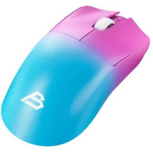 Blackstorm Gemini Pink / Blue Blackstorm Gemini Pink / Blue