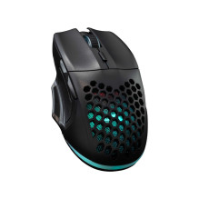 Baracuda BGM-101 Pingvinas Juodas