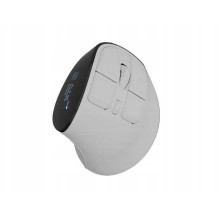 Natec Euphone Pro Balta / juoda