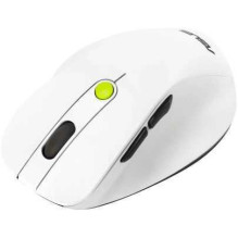 Asus MD105 Balta