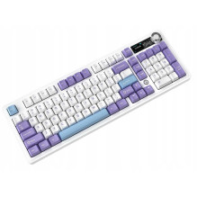 AK980 Gift Switch V2 Purple-White-Blue (EN)