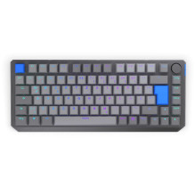 Endorfy Thock V2 75% Wireless (DE)