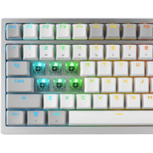Asus ROG Azoth White (JAV)