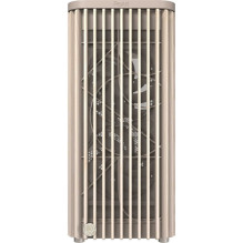 Asus ProArt PA401 Wood TG Beige