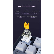 AK820 Max Magnetic switches Black-Gray-Yellow (US) AK820 Max Magnetic switches Black-Gray-Yellow (US)