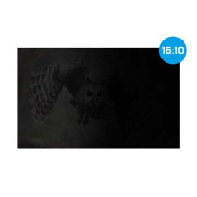 Natec OWL 15.6'' 16:10 Natec OWL 15.6'' 16:10