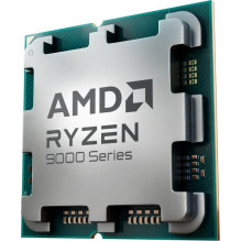 Procesorius AMD Ryzen 9 9900X, 4,4 GHz, 64 MB, BOX (100-100000662WOF)
