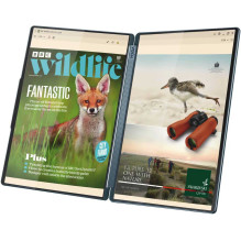 Lenovo jogos knyga 9 14IAH10 2x14 " OLED 255H 32GB 1SSD EN W11H Lenovo jogos knyga 9 14IAH10 2x14 " OLED 255H 32GB 1SSD EN W11H