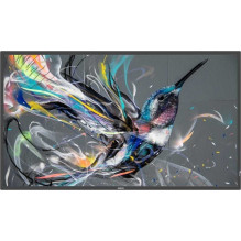 Philips 85BDL3511Q 86" IPS 16:9