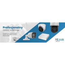 IP camera Hilook IPC-T241H-C dome 4MP IR20m Black