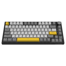 AK820 Pro Flying Fish Switch Black-Gray-Yellow (EN) AK820 Pro Flying Fish Switch Black-Gray-Yellow (EN)