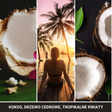 ULTIMATE BLACK COCONUT YANKEE Scented Air Freshener