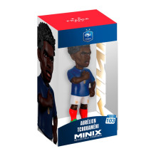 MINIX FRANCE - AURELIEN...