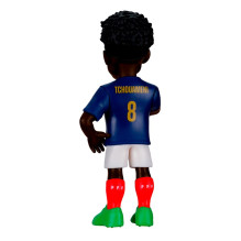 MINIX FRANCE - AURELIEN TCHOUAMENI