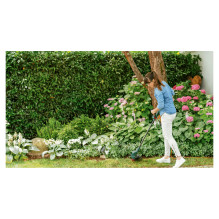 WZ Bosch EasyGrassCut 23 Elektro-Rasentrimmer (280 Watt, Schnittkreisdurchmesser 23 cm) WZ Bosch EasyGrassCut 23 Elektro-Rasentrimmer (280 Watt, Schnittkreisdurchmesser 23 cm)