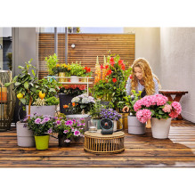 Gardena Solar-Bewässerung AquaBloom Set, inkl. Wasserbehälter (Gray, für bis zu 20 Pflanzen) Gardena Solar-Bewässerung AquaBloom Set, inkl. Wasserbehälter (Gray, für bis zu 20 Pflanzen)