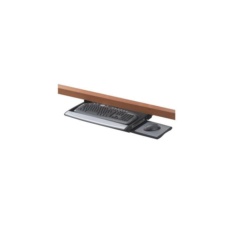 Fellowes (8031201)