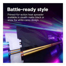 Crucial Pro CP2K16G64C32U5B memory module Crucial Pro CP2K16G64C32U5B memory module