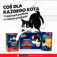 PURINA Felix Fantastic in jelly Box - wet cat food - 44x85g PURINA Felix Fantastic in jelly Box - wet cat food - 44x85g